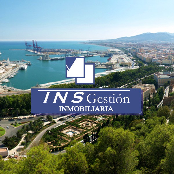 ins gestion inmobiliaria