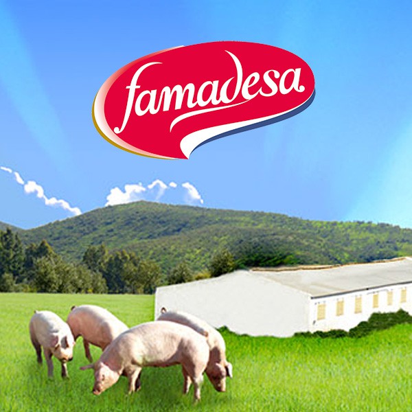 famadesa